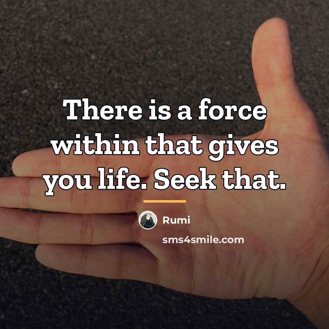 “There is a force within that gives you life. Seek…” quote by Rumi