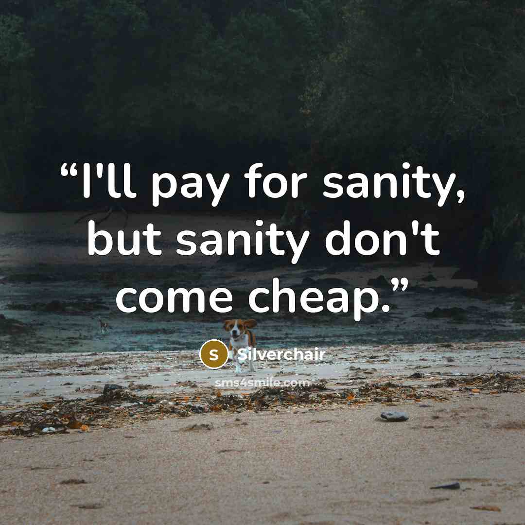 “I'll pay for sanity, but sanity don't come cheap.” quote by Silverchair