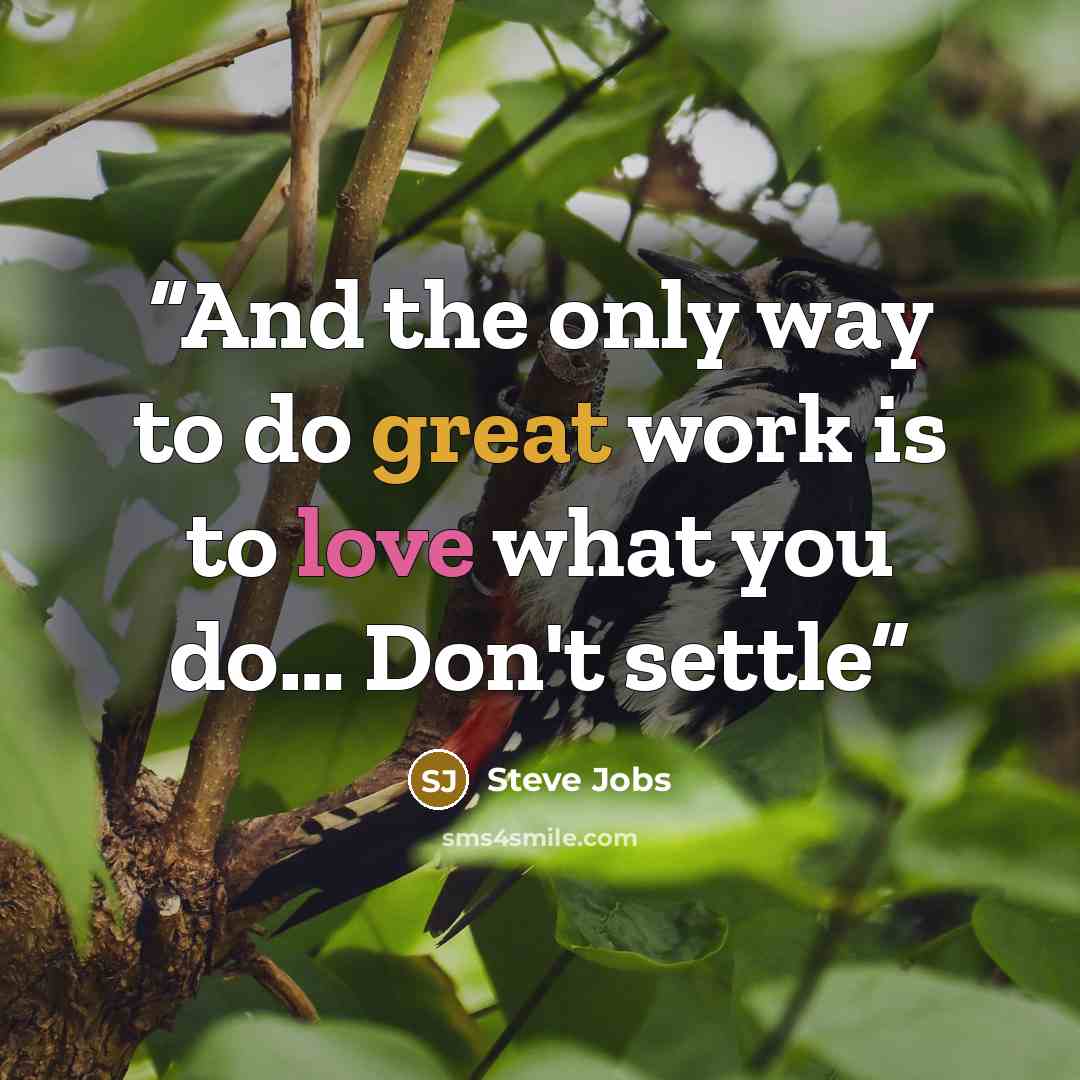 “And the only way to do great work is to love what you do… Don't settle” quote by Steve Jobs