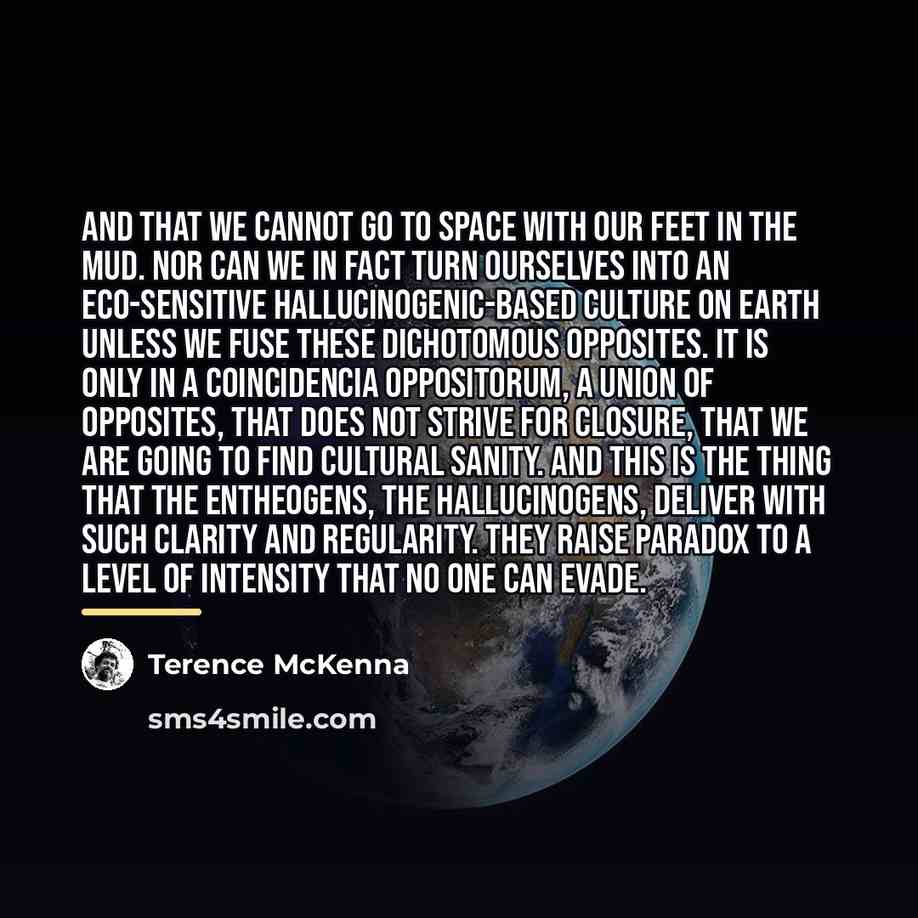 “And that we cannot go to space with our feet…” quote by Terence McKenna
