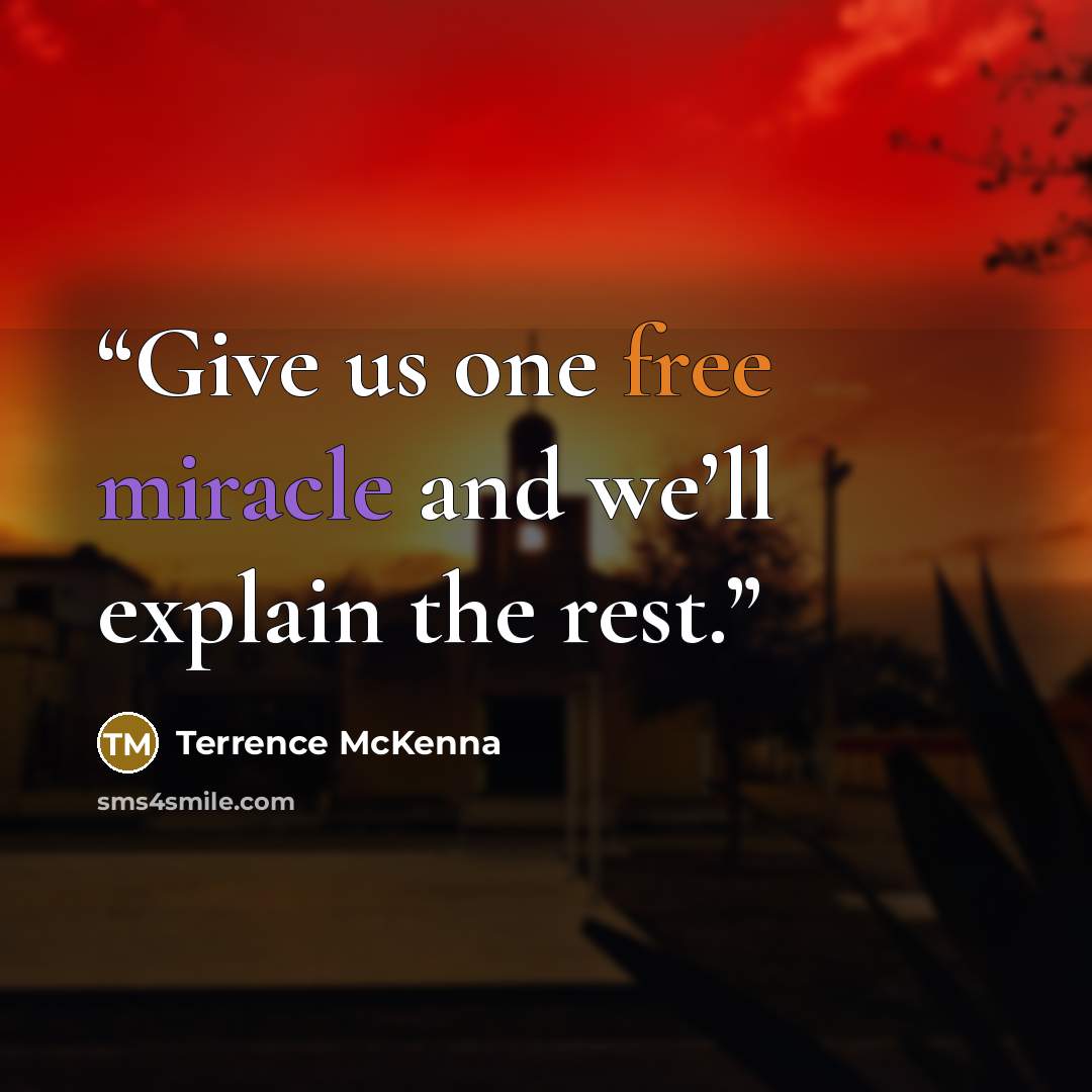“Give us one free miracle and we’ll explain the rest.” quote by Terrence McKenna