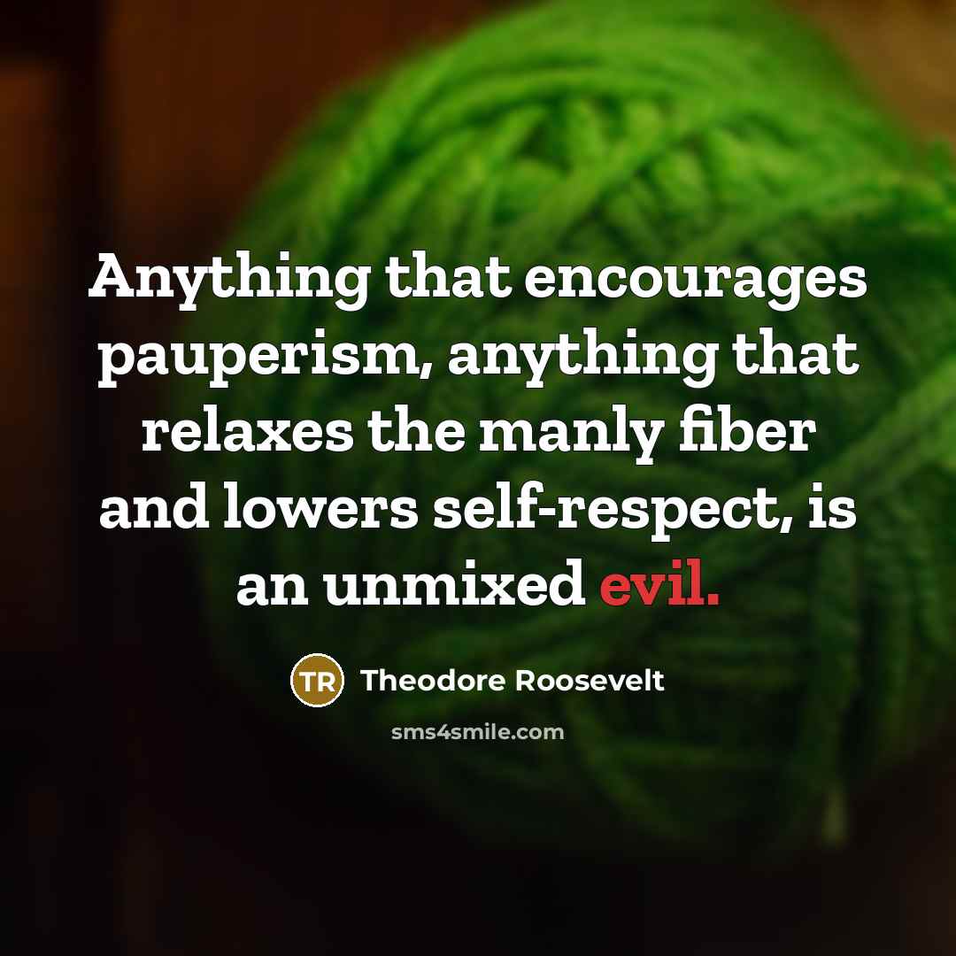 “Anything that encourages pauperism, anything that relaxes the manly fiber…” quote by Theodore Roosevelt