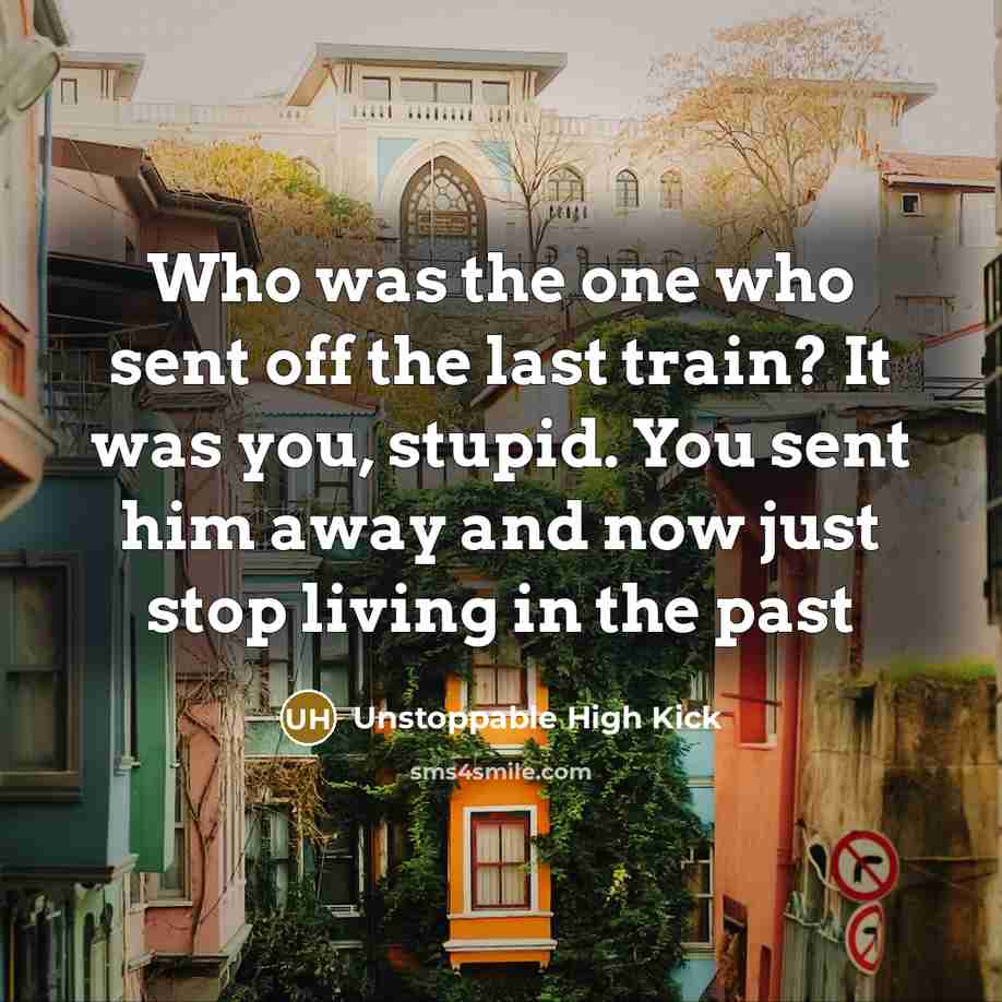 “Who was the one who sent off the last train? It was you, stupid. You sent him away and now just stop living in the past” quote by Unstoppable High Kick