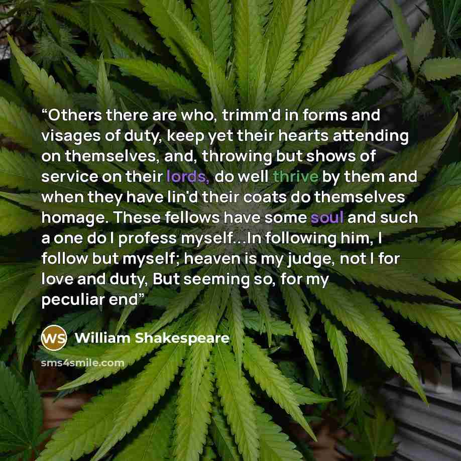 “Others there are who, trimm'd in forms and visages of duty, keep yet their hearts attending on themselves, and, throwing but shows of service on their lords, do well thrive by them and when they have lin'd their coats do themselves homage. These fellows have some soul and such a one do I profess…” quote by William Shakespeare