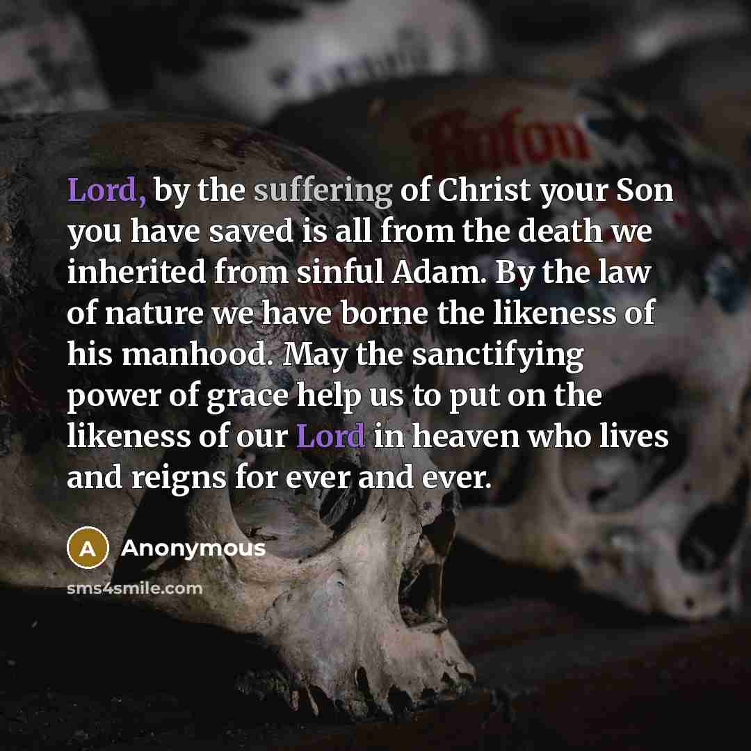 “Lord, by the suffering of Christ your Son you have…” quote by Anonymous