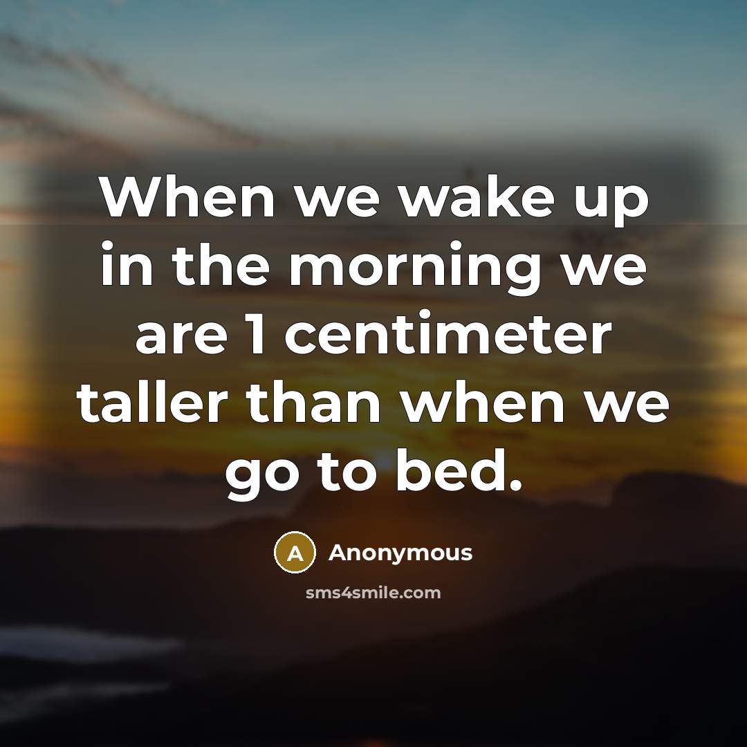 “When we wake up in the morning we are 1 centimeter taller than when we go to bed.” quote by Anonymous