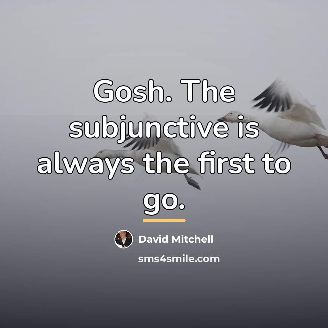 “Gosh. The subjunctive is always the first to go.…” quote by David Mitchell