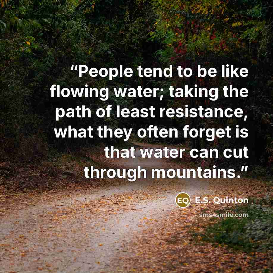 “People tend to be like flowing water; taking the path of least resistance, what they often forget is that water can cut through mountains.” quote by E.S. Quinton