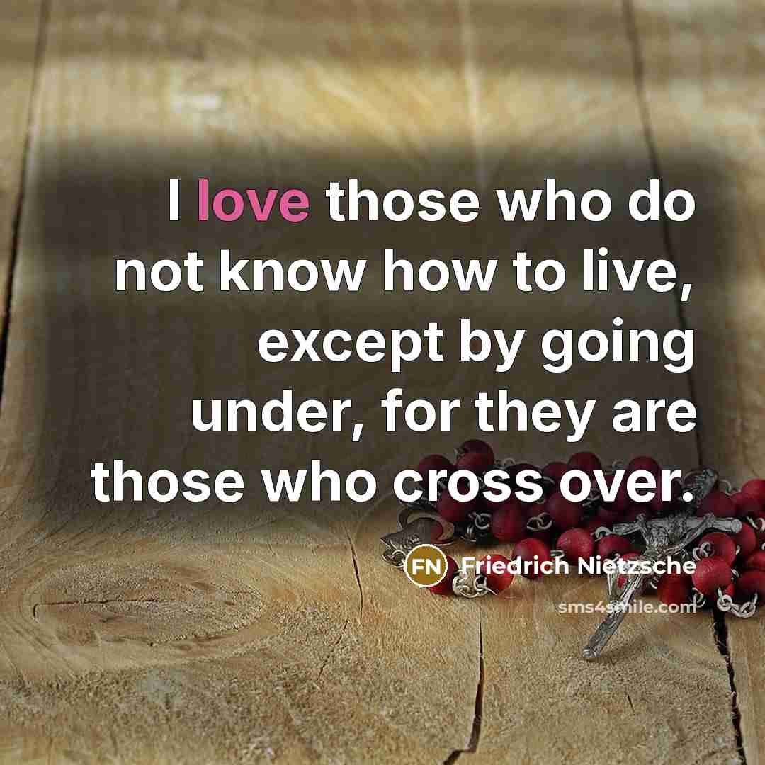 “I love those who do not know how to live, except by going under, for they are those who cross over.” quote by Friedrich Nietzsche