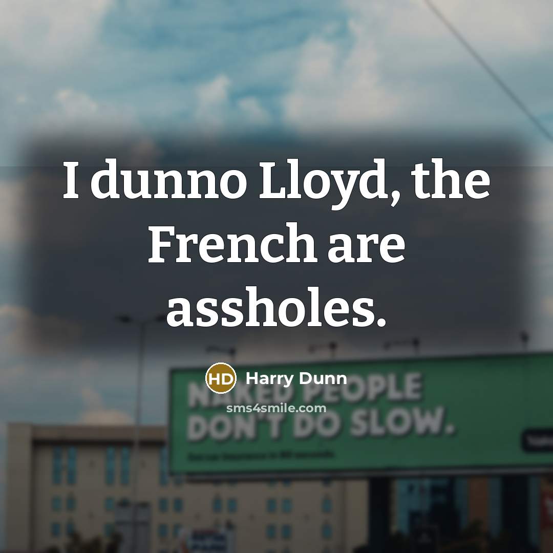 “I dunno Lloyd, the French are assholes.…” quote by Harry Dunn