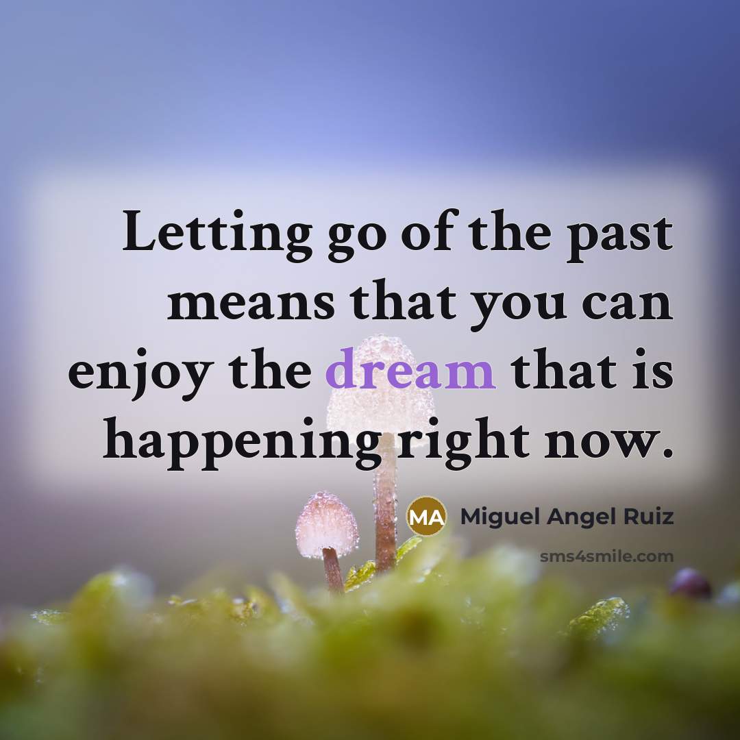 “Letting go of the past means that you can enjoy…” quote by Miguel Angel Ruiz