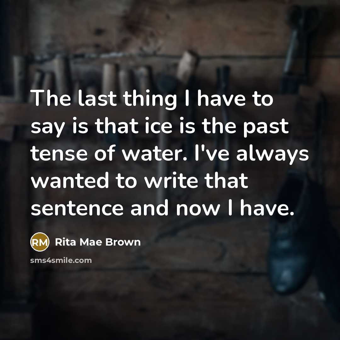 “The last thing I have to say is that ice…” quote by Rita Mae Brown