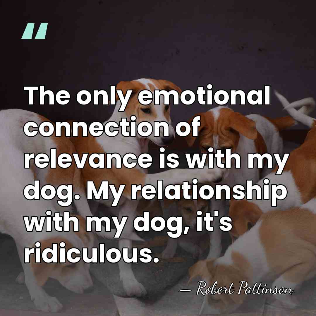 The only emotional connection of relevance is with my dog. My relationship&hellip; - Robert Pattinson