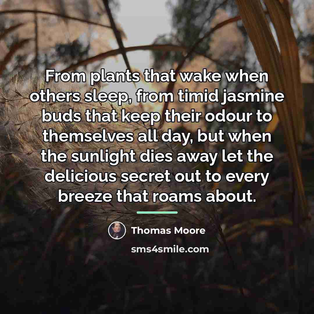 “From plants that wake when others sleep, from timid jasmine…” quote by Thomas Moore