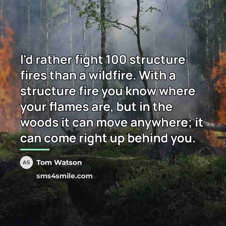 “I'd rather fight 100 structure fires than a wildfire. With…” quote by Tom Watson