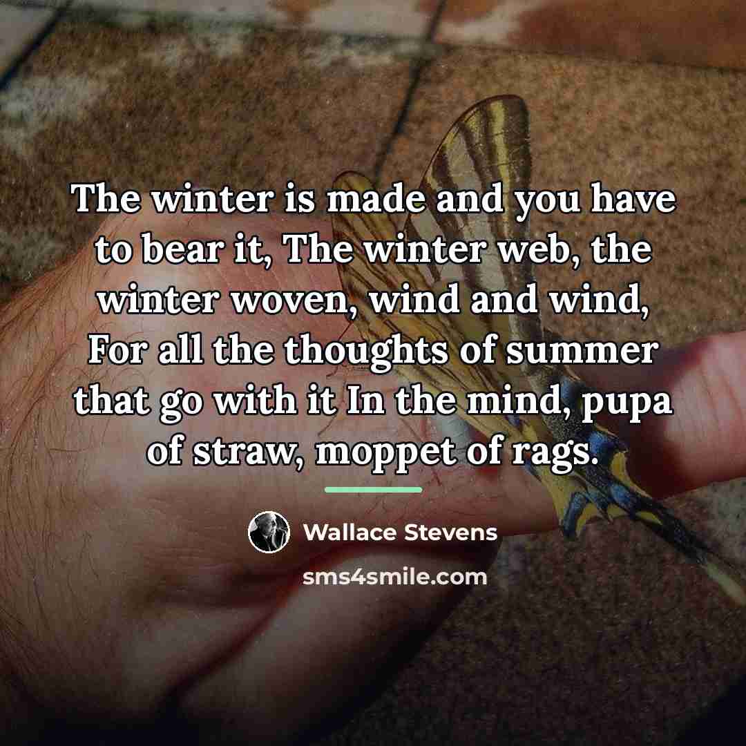 “The winter is made and you have to bear it,…” quote by Wallace Stevens
