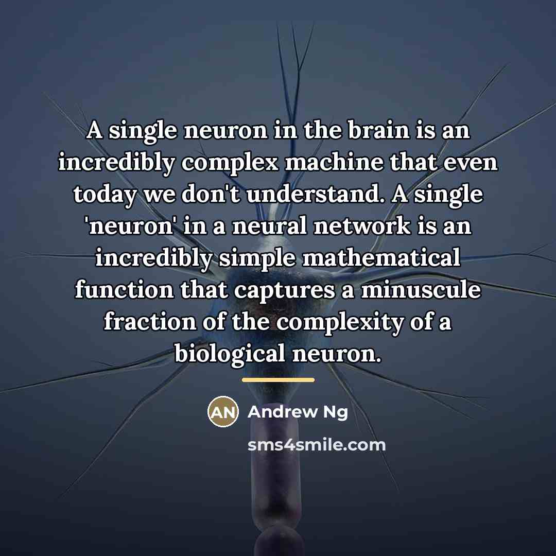 “A single neuron in the brain is an incredibly complex…” quote by Andrew Ng