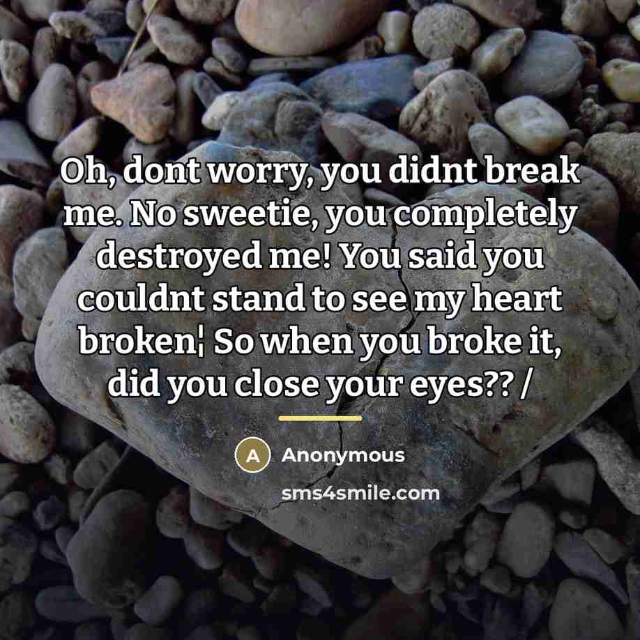 “Oh, dont worry, you didnt break me. No sweetie, you…” quote by Anonymous