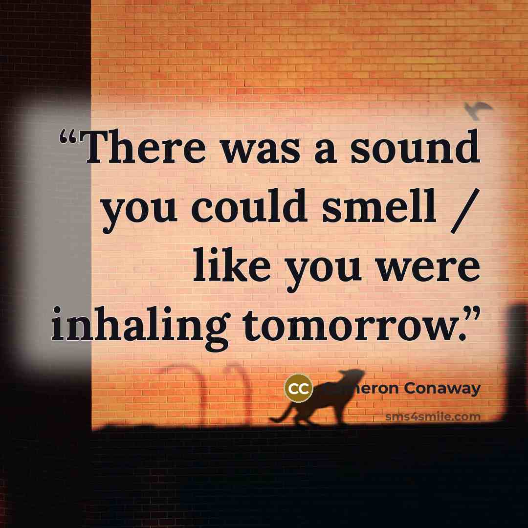 “There was a sound you could smell / like you were inhaling tomorrow.” quote by Cameron Conaway