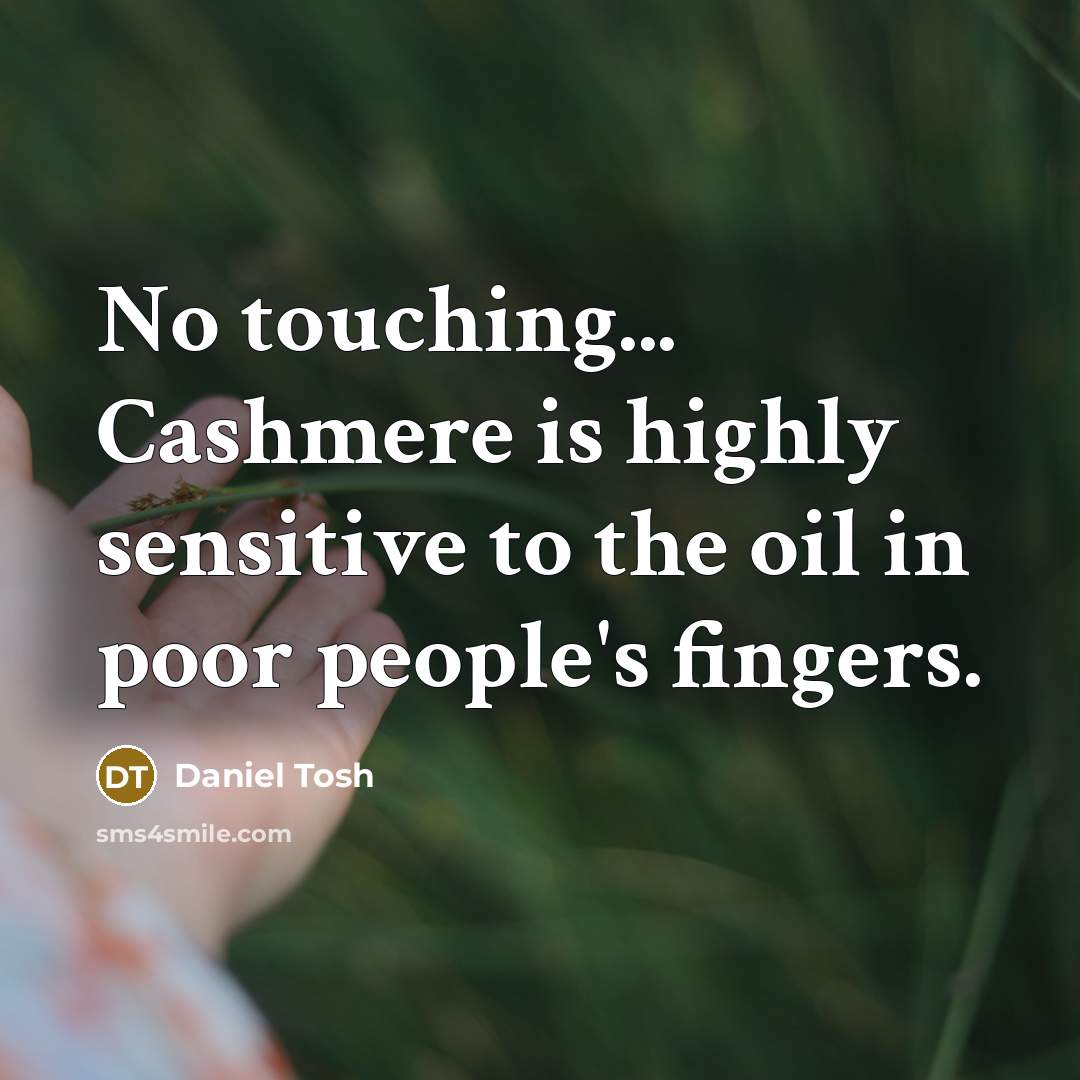 “No touching... Cashmere is highly sensitive to the oil in…” quote by Daniel Tosh
