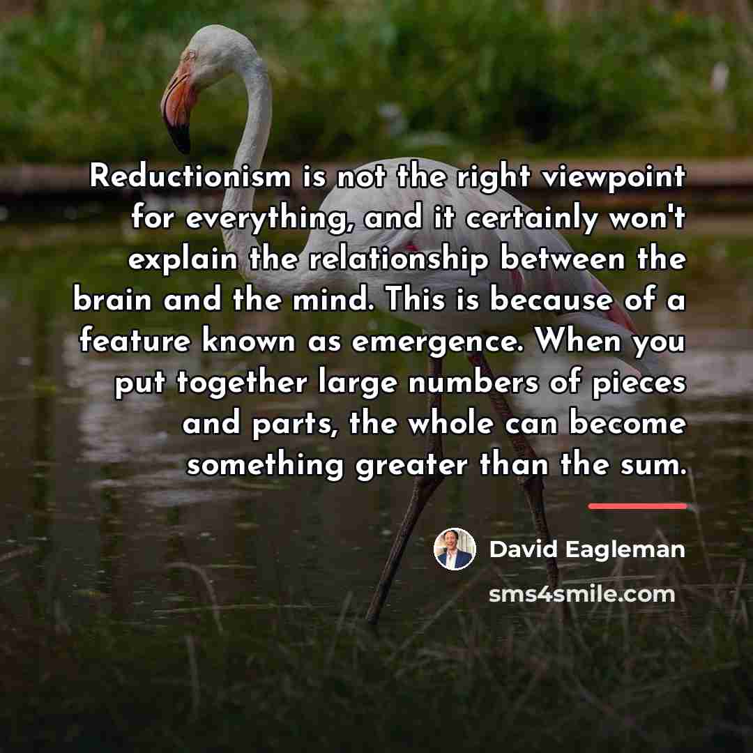 “Reductionism is not the right viewpoint for everything, and it…” quote by David Eagleman