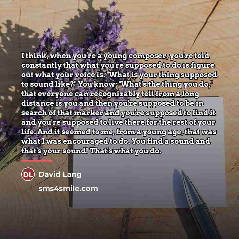 “I think, when you're a young composer, you're told constantly…” quote by David Lang