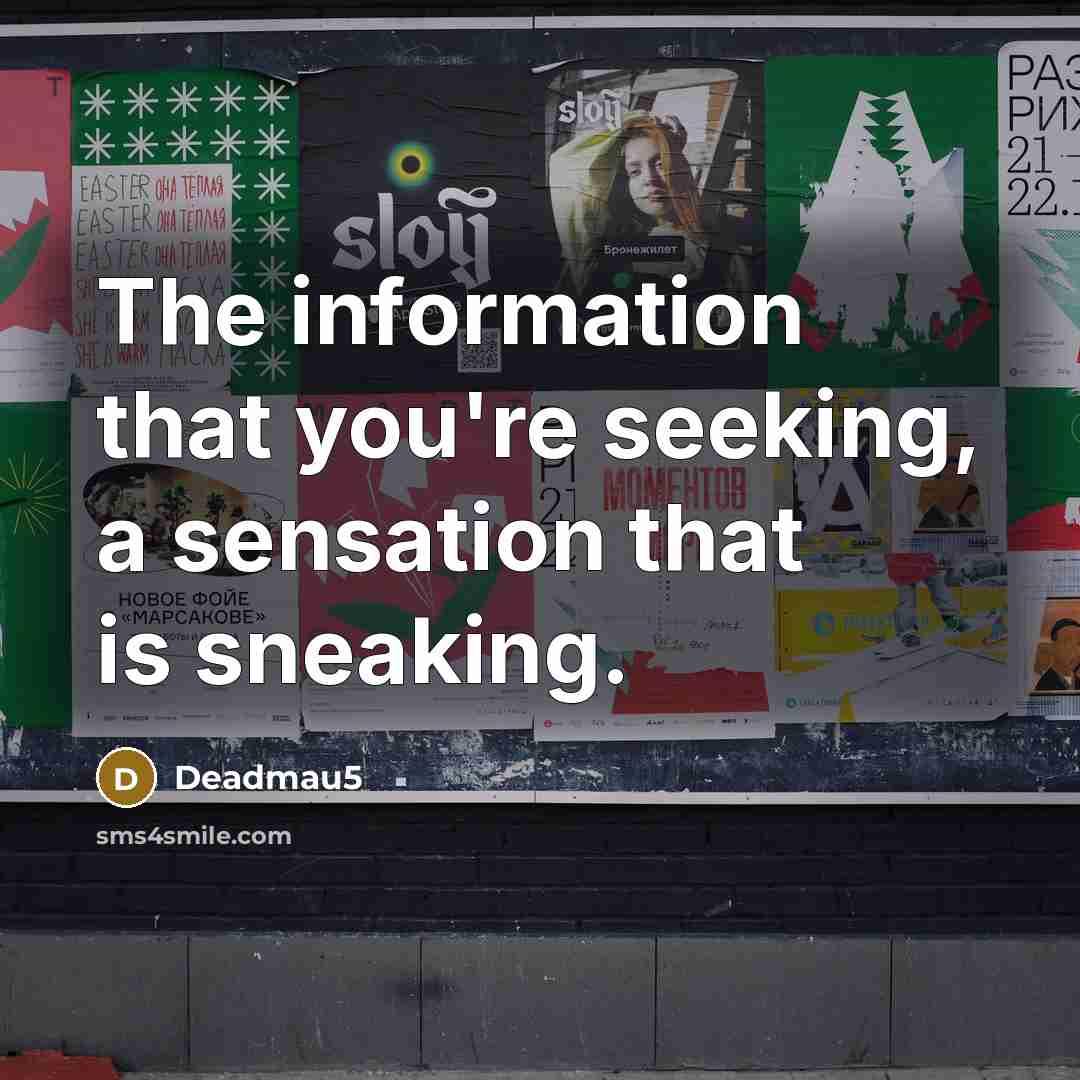“The information that you're seeking, a sensation that is sneaking.…” quote by Deadmau5