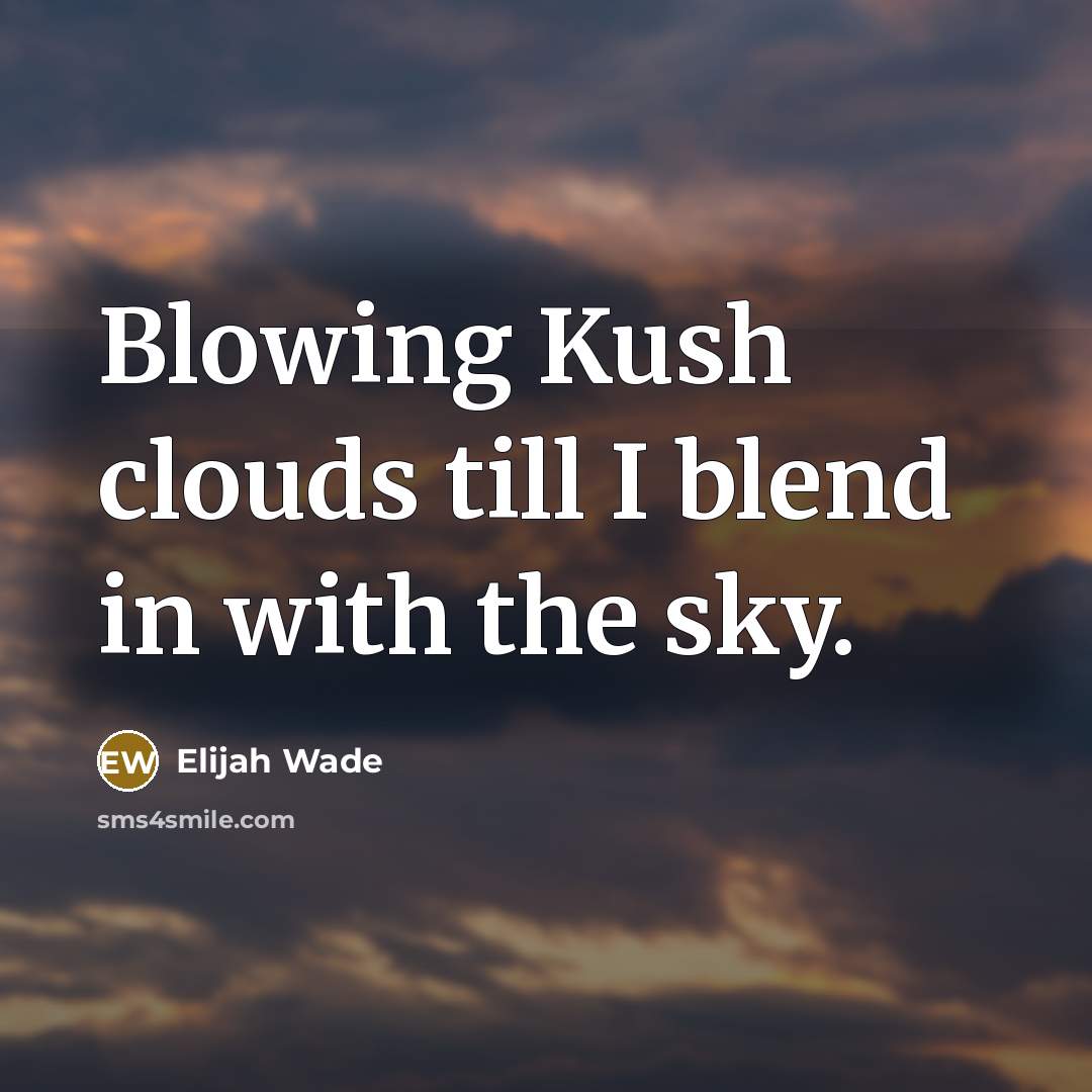 “Blowing Kush clouds till I blend in with the sky.…” quote by Elijah Wade
