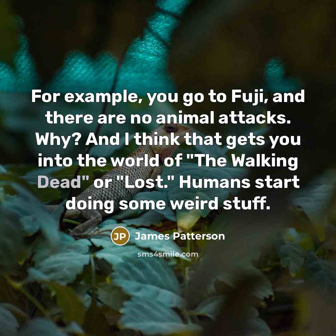 “For example, you go to Fuji, and there are no…” quote by James Patterson