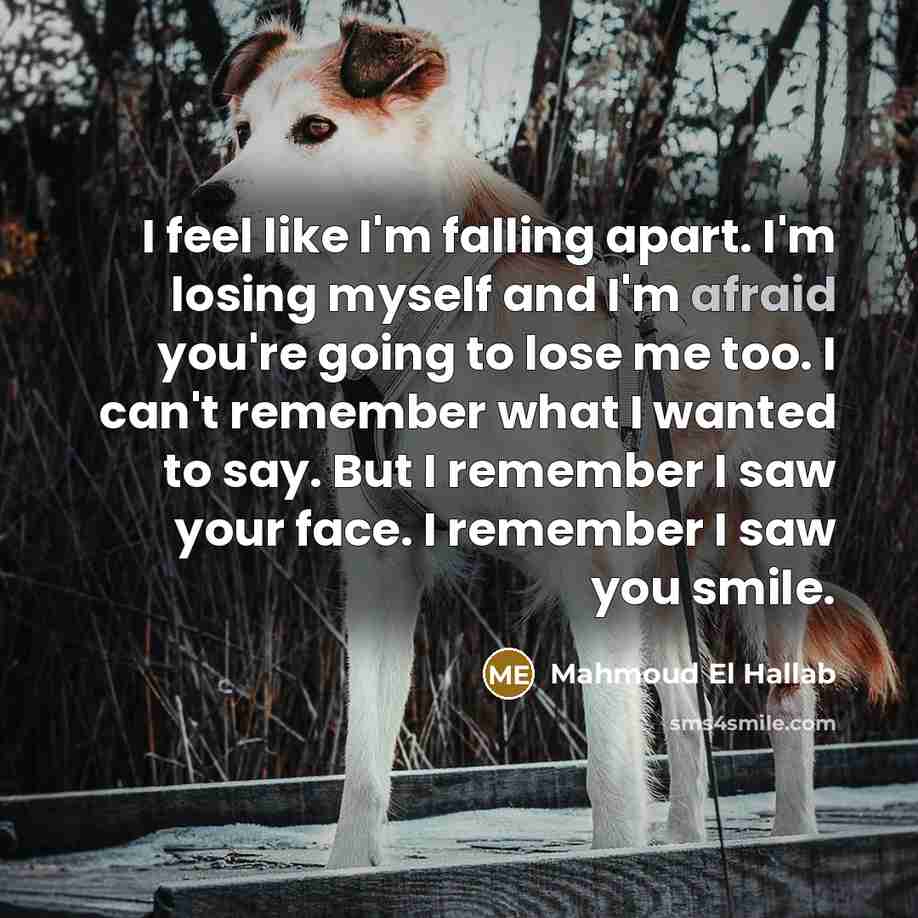 “I feel like I'm falling apart. I'm losing myself and…” quote by Mahmoud El Hallab