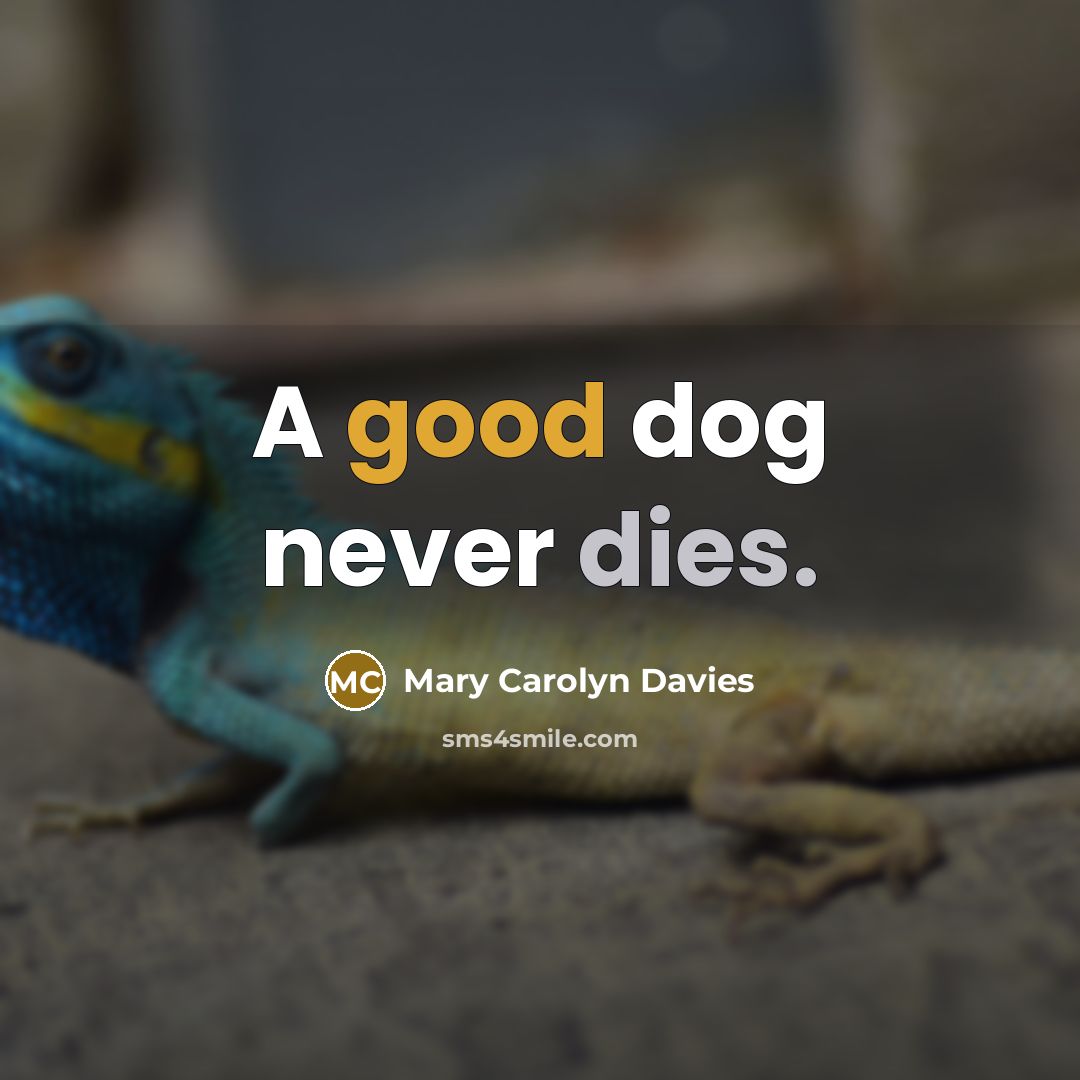 “A good dog never dies.” quote by Mary Carolyn Davies
