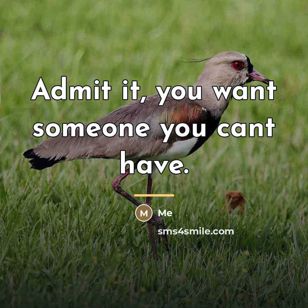 “Admit it, you want someone you cant have.…” quote by ME