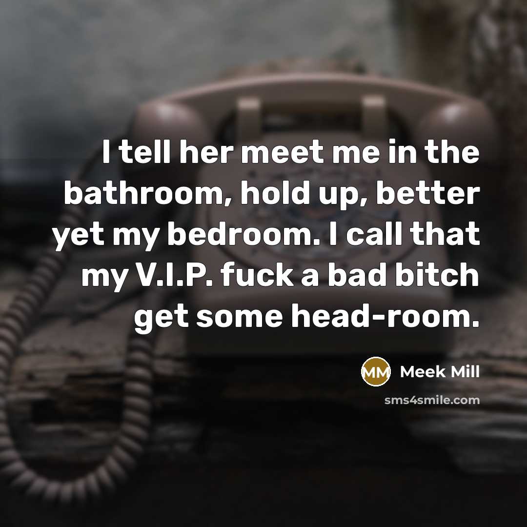 “I tell her meet me in the bathroom, hold up,…” quote by Meek Mill