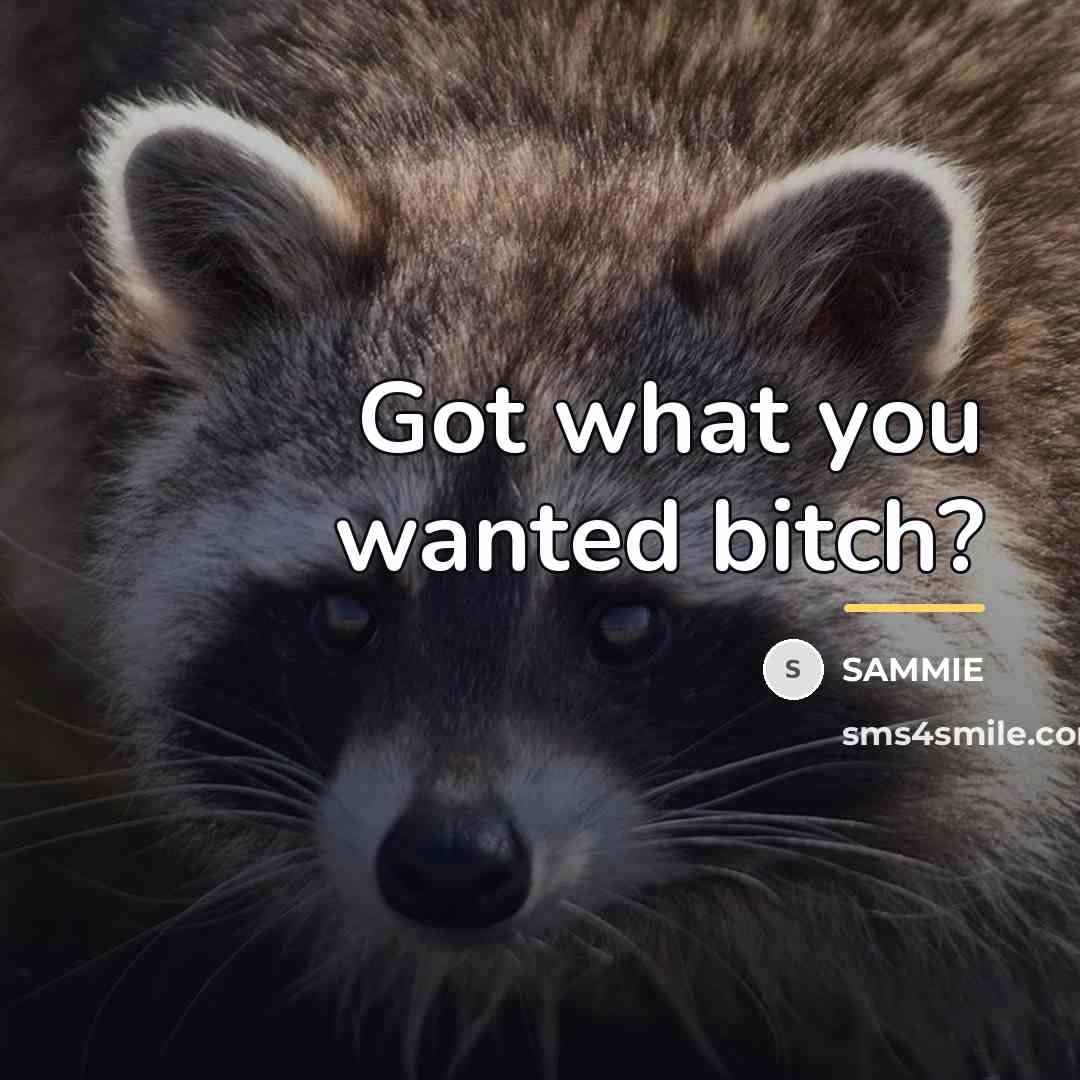 “Got what you wanted bitch?…” quote by Sammie