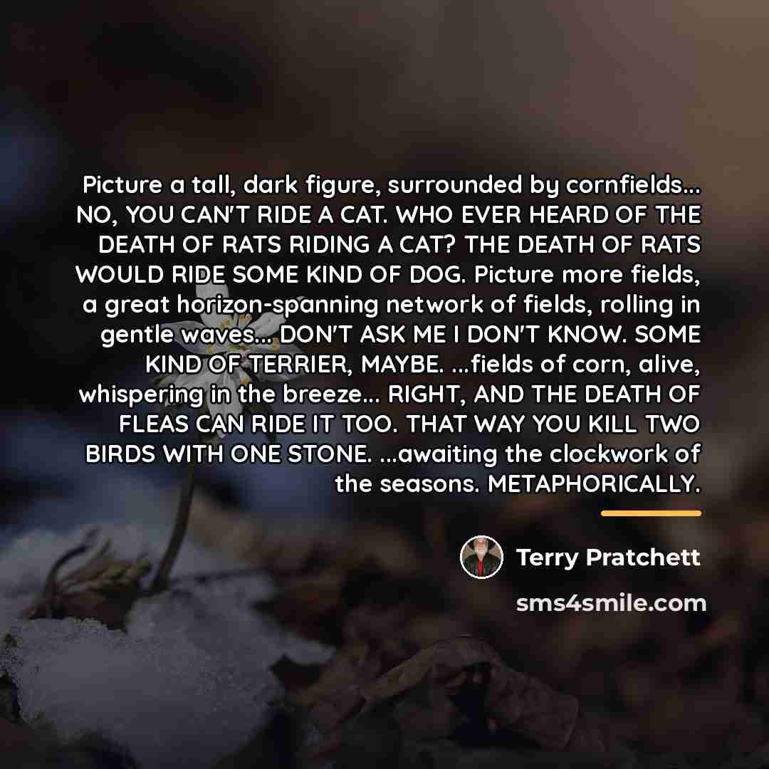 “Picture a tall, dark figure, surrounded by cornfields... NO, YOU…” quote by Terry Pratchett