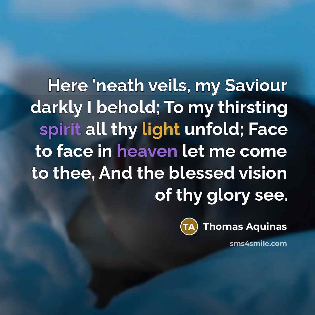 “Here 'neath veils, my Saviour darkly I behold; To my thirsting spirit all thy light unfold; Face to face in heaven let me come to thee, And the blessed vision of thy glory see.” quote by Thomas Aquinas