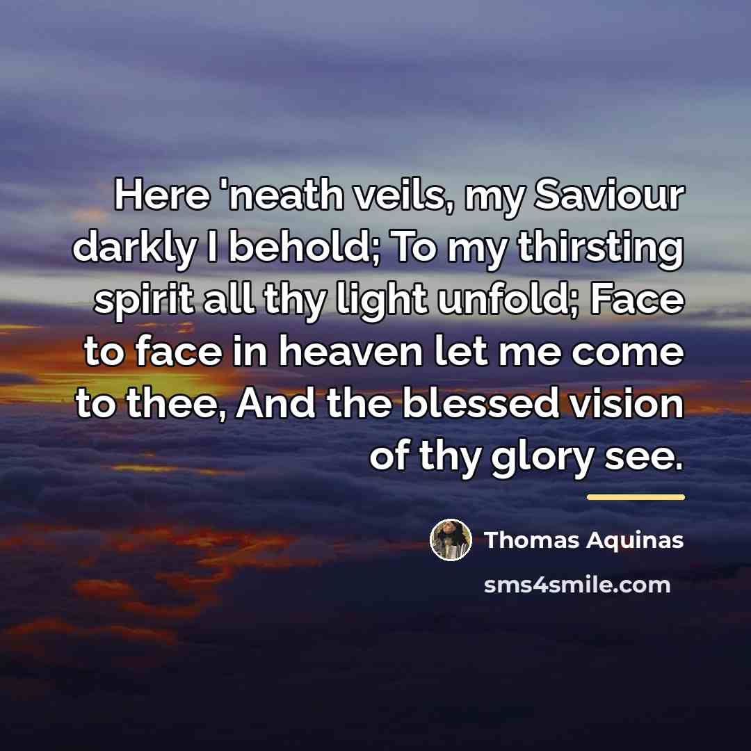 “Here 'neath veils, my Saviour darkly I behold; To my…” quote by Thomas Aquinas