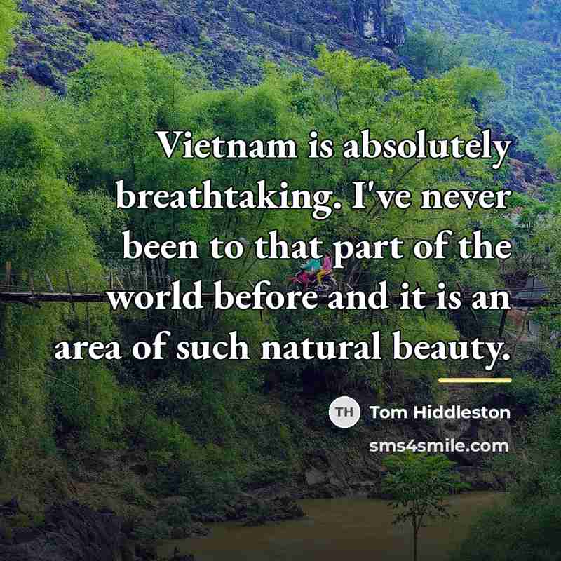 “Vietnam is absolutely breathtaking. I've never been to that part…” quote by Tom Hiddleston