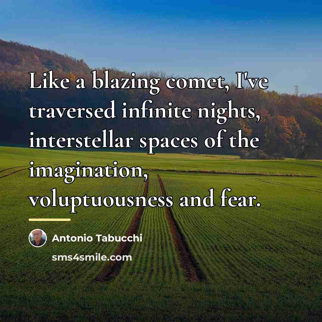 “Like a blazing comet, I've traversed infinite nights, interstellar spaces…” quote by Antonio Tabucchi