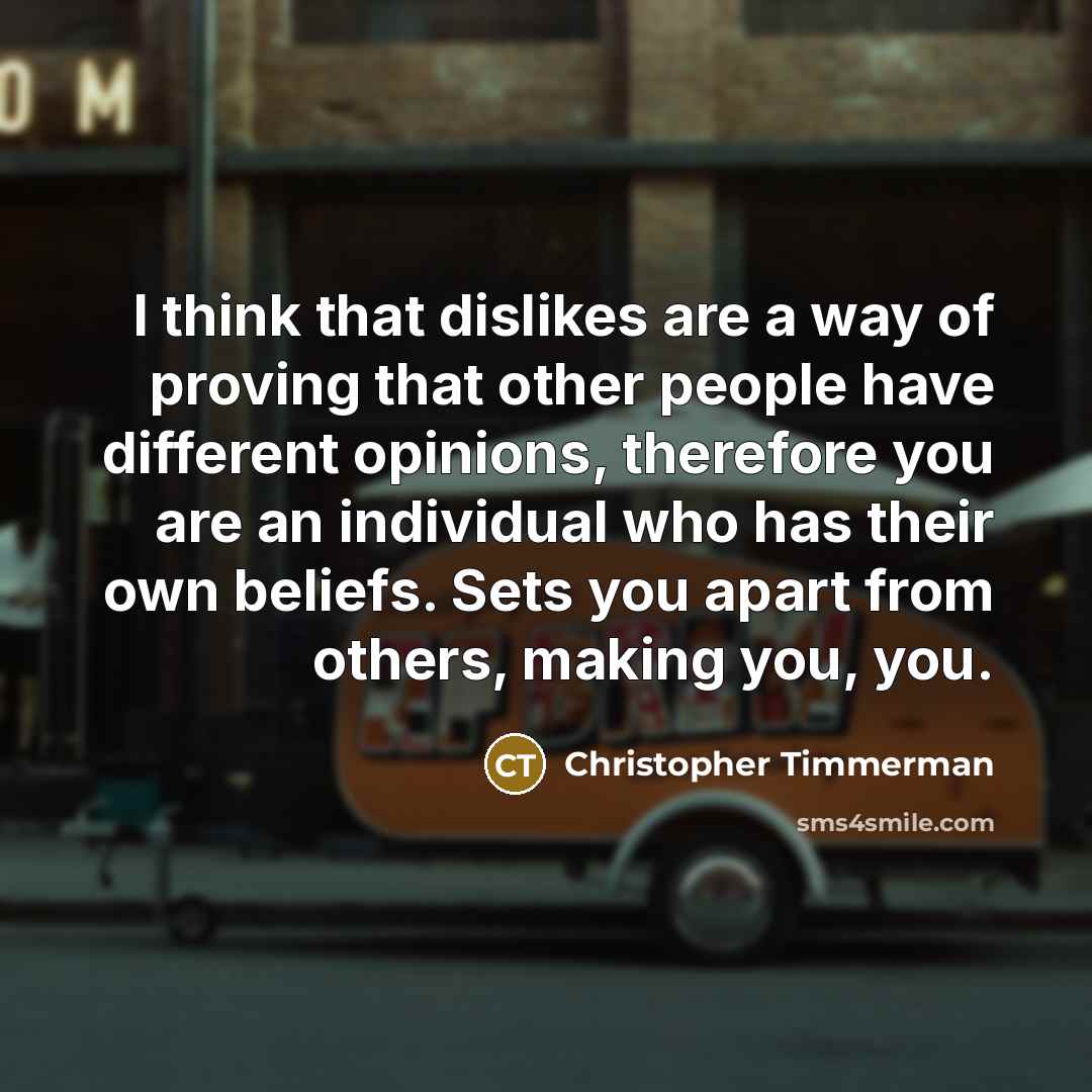 “I think that dislikes are a way of proving that…” quote by Christopher Timmerman