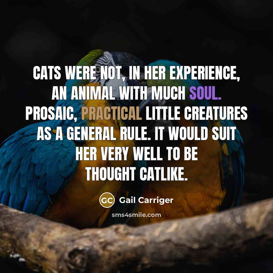 “Cats were not, in her experience, an animal with much…” quote by Gail Carriger