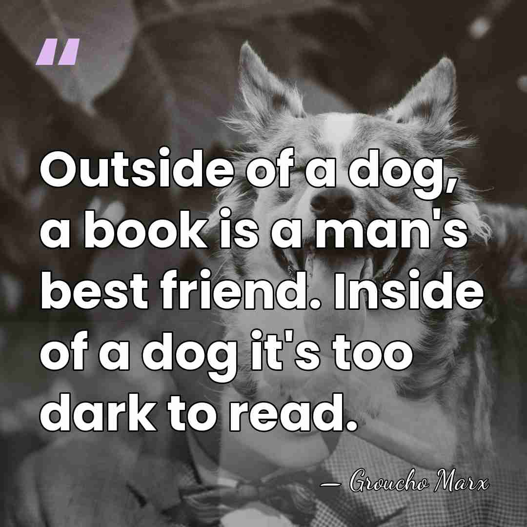 Outside of a dog, a book is a man's best friend. Inside&hellip; - Groucho Marx