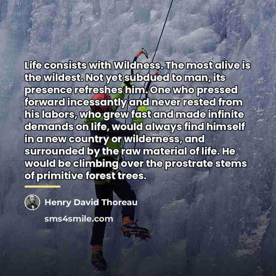 “Life consists with Wildness. The most alive is the wildest.…” quote by Henry David Thoreau