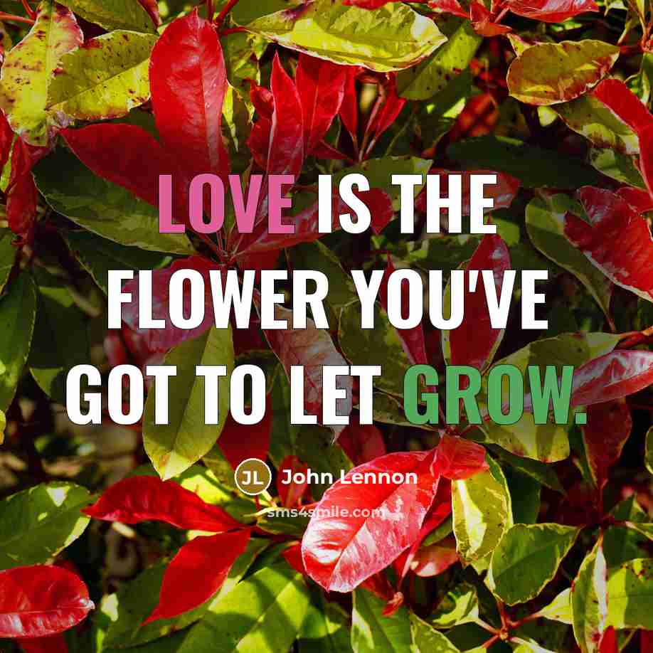 “Love is the flower you've got to let grow.…” quote by John Lennon