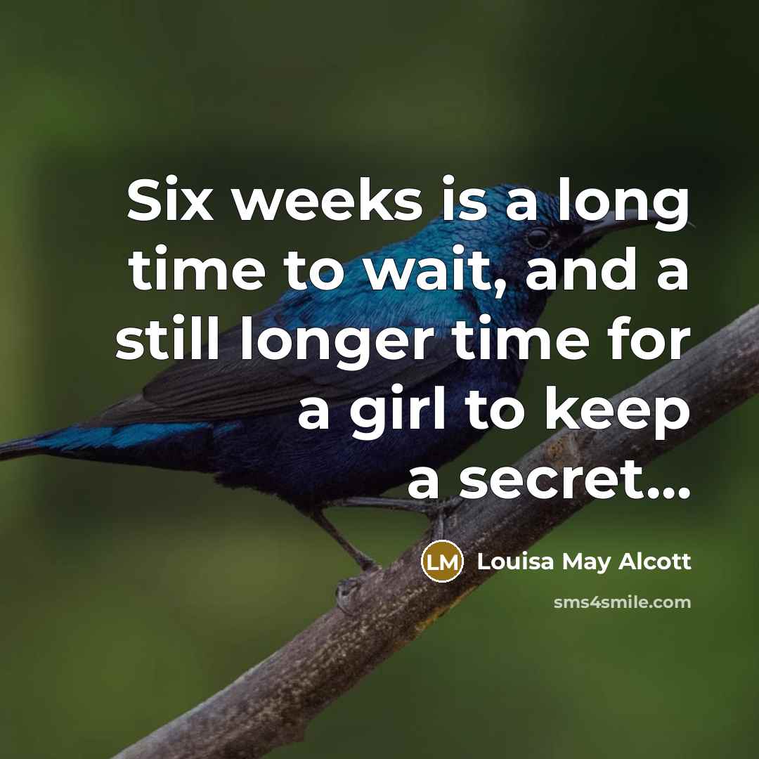 “Six weeks is a long time to wait, and a…” quote by Louisa May Alcott