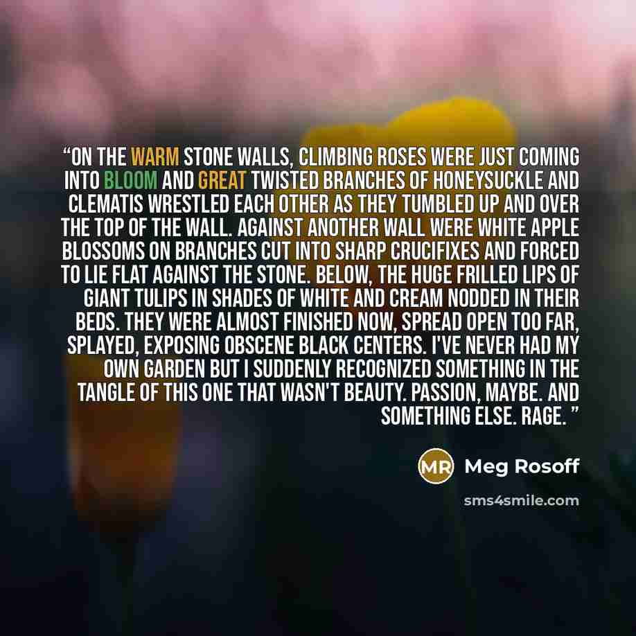 “On the warm stone walls, climbing roses were just coming into bloom and great twisted branches of honeysuckle and clematis wrestled each other as they tumbled up and over the top of the wall. Against another wall were white apple blossoms on branches cut into sharp crucifixes and forced to lie…” quote by Meg Rosoff