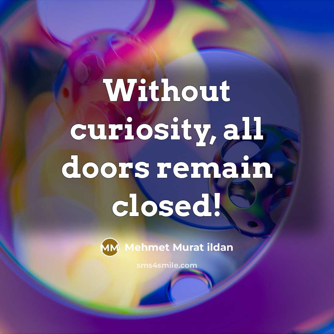 “Without curiosity, all doors remain closed!” quote by Mehmet Murat Ildan