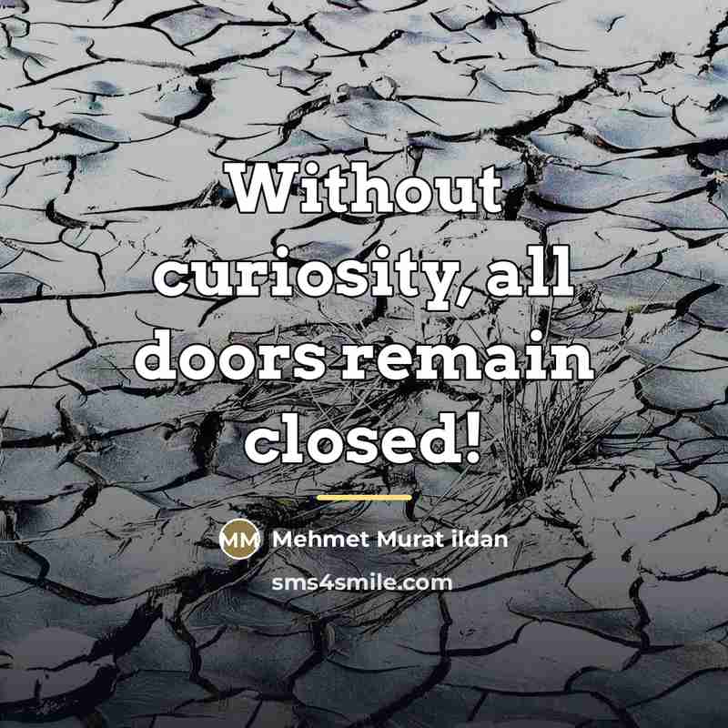 “Without curiosity, all doors remain closed!…” quote by Mehmet Murat Ildan