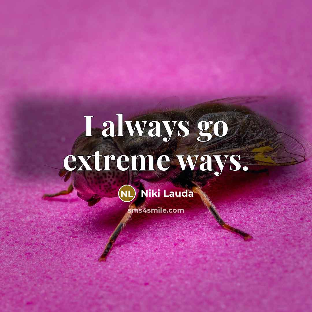 “I always go extreme ways.…” quote by Niki Lauda