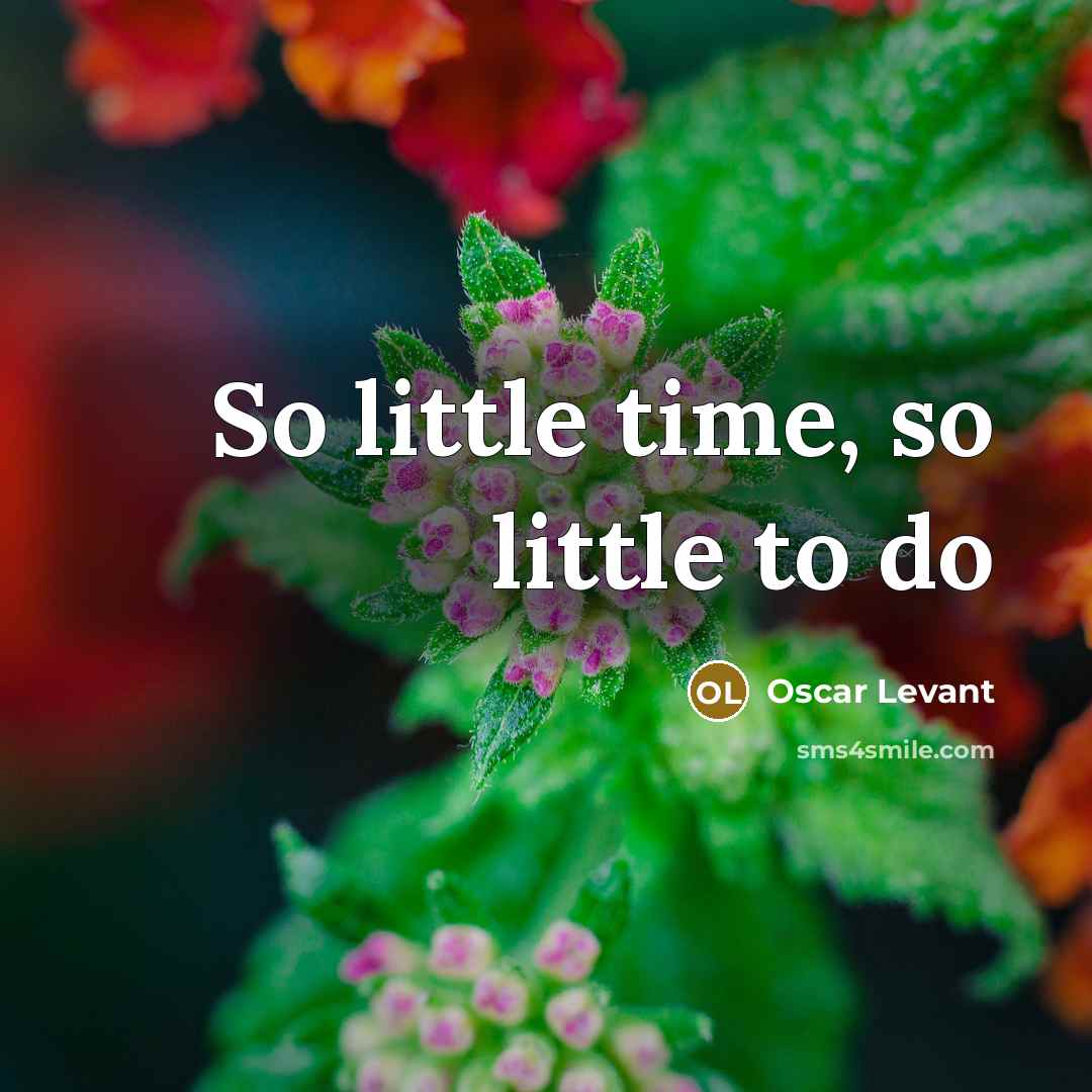 “So little time, so little to do” quote by Oscar Levant
